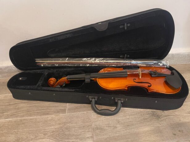 Violin