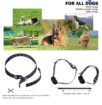 Dog Training Collar