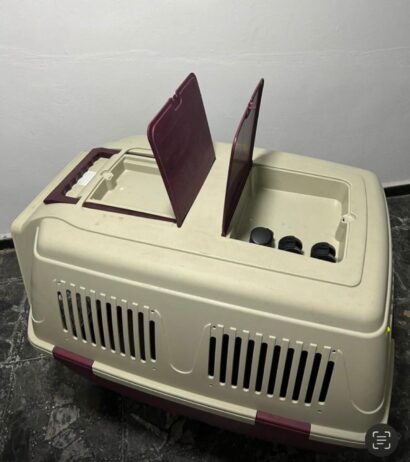 Dog Transit Box